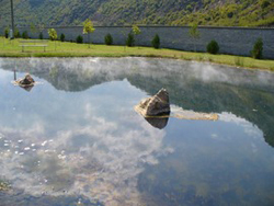 Bulgaria pond