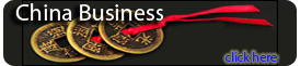 China Business Services