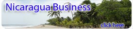 Nicaragua Business Services