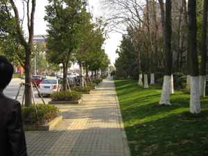 Walking along a nearby street