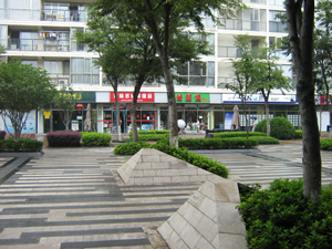 The community shopping center