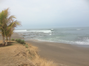 Crashing waves on the shore