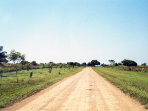 An early roadway to the property