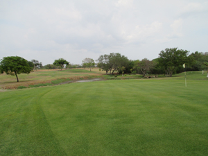 View of golf course