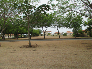 Homes in the distance