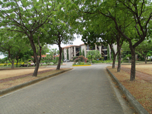 Roadway leading into town