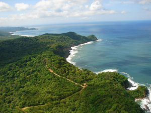 Aerial view of coastline