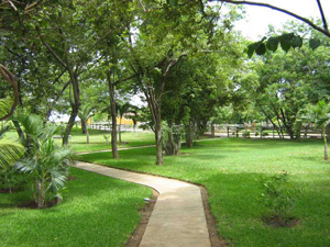 The casita courtyard