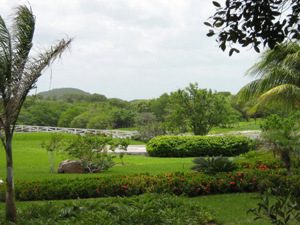 Landscape surrounding the clubhouse