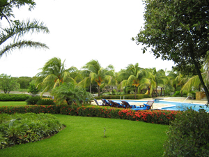 Tropical landscape at the pool