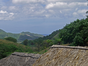 A scenic hillside view