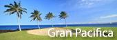 Gran Pacifica Gallery